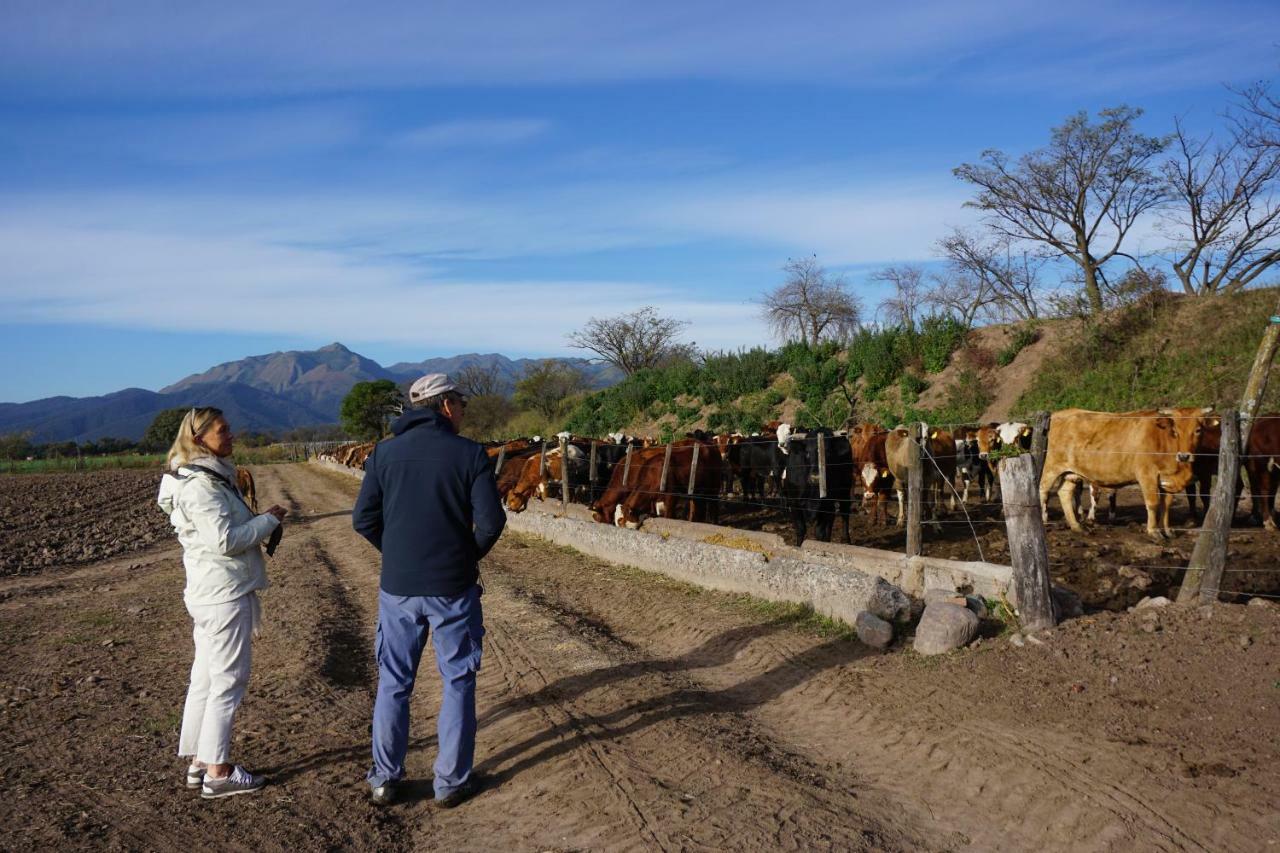 Finca Las Margaritas Chicoana Eksteriør billede